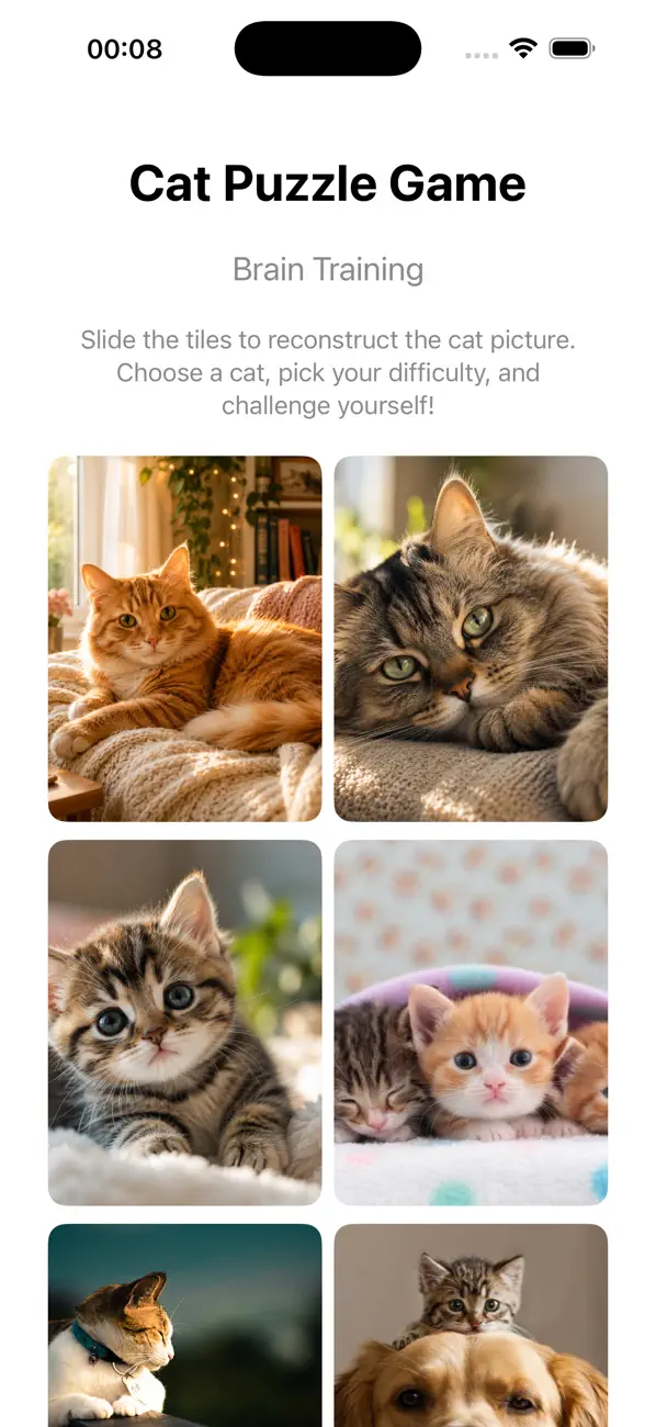 Puzzle: Brain memory training