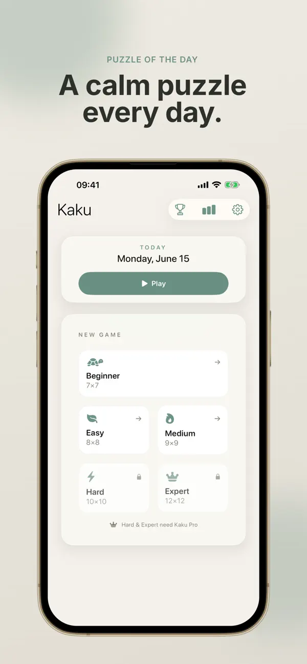 Kaku - Shikaku Puzzle