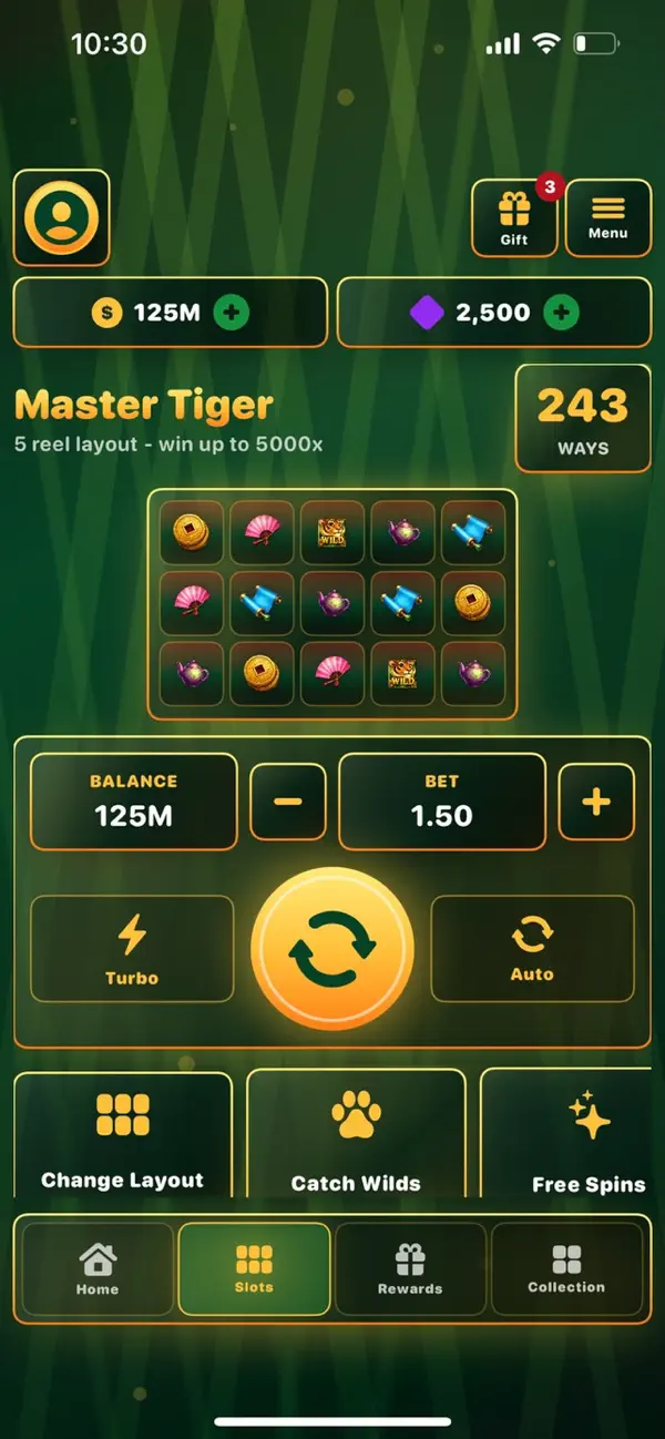 Master Tiger fortune