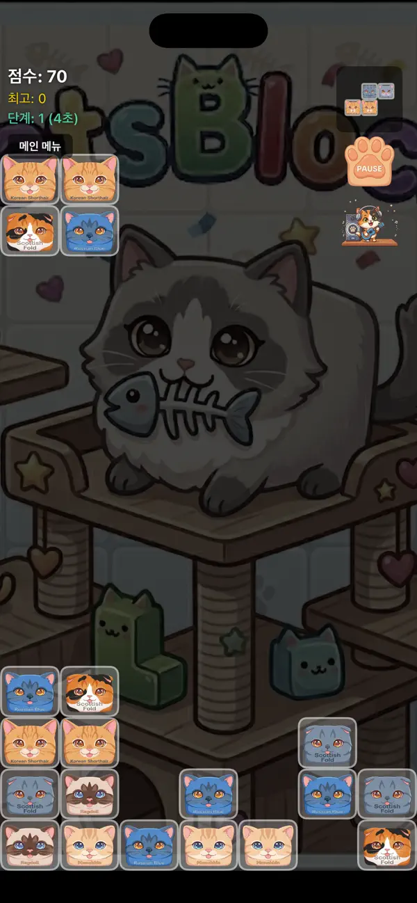 CatsBlocks