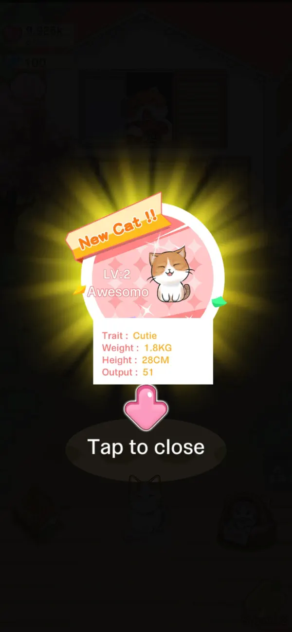 Chubby Kitty: Dress Up Merge