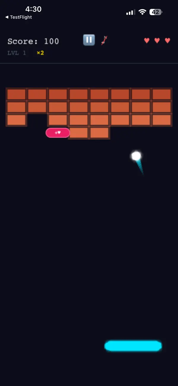 Bricks Bricks