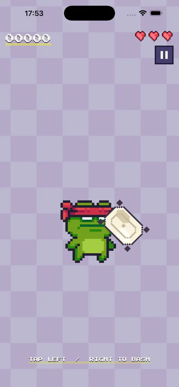 pillowfighter
