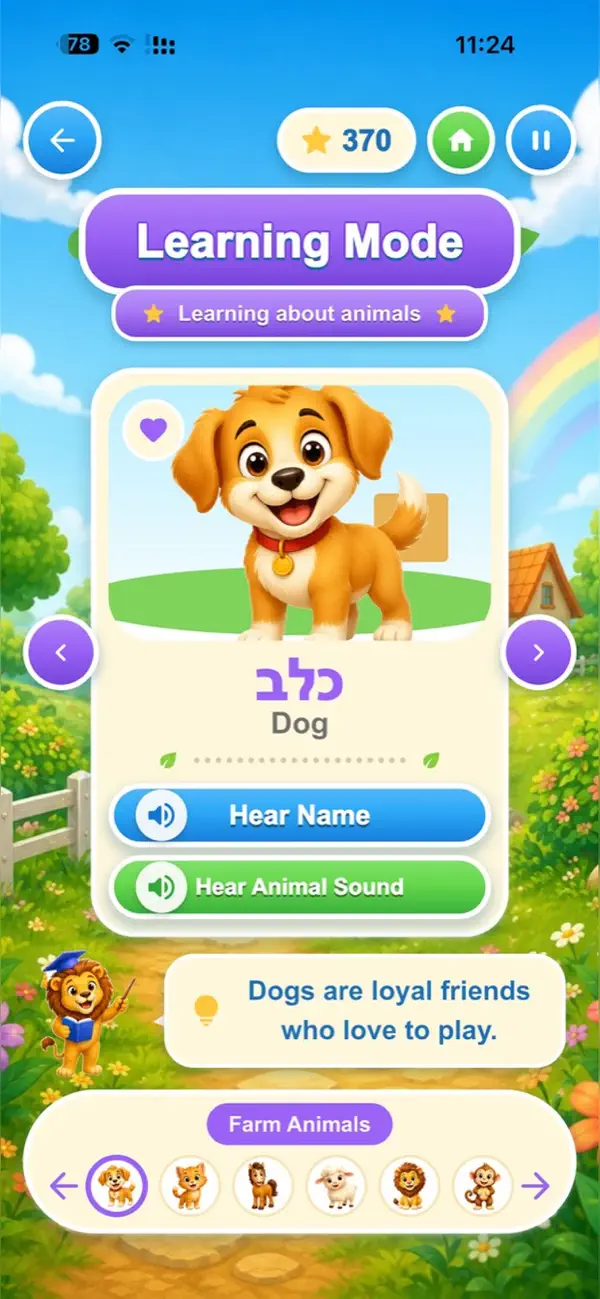 Cute Animal Memory Kids