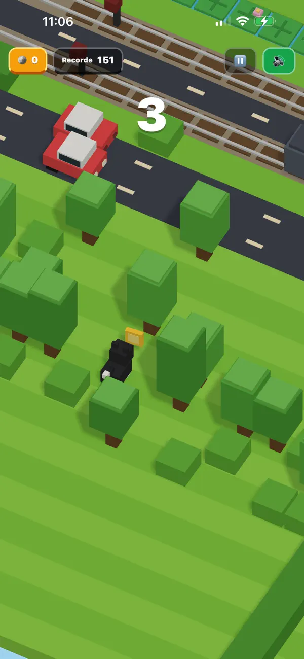 Animal Avenue