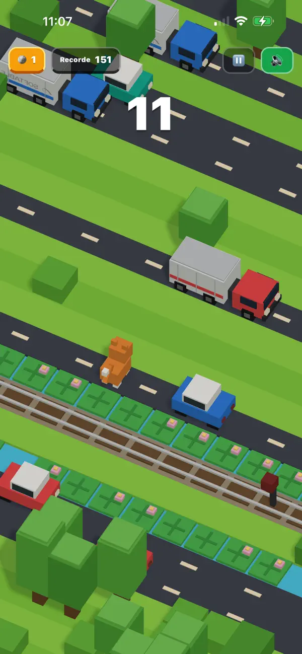 Animal Avenue
