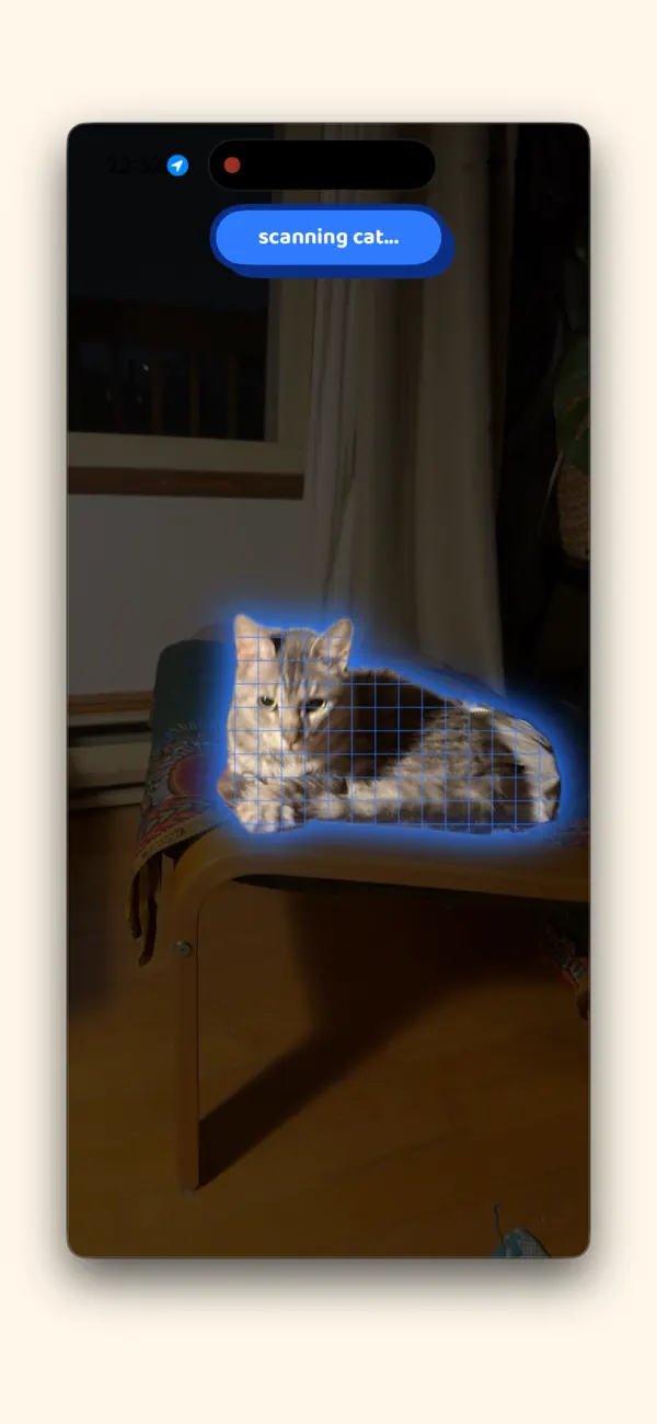 Cat Collector: Catch Real Cats
