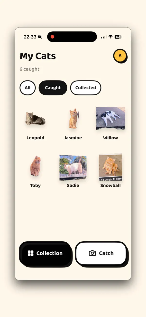 Cat Collector: Catch Real Cats