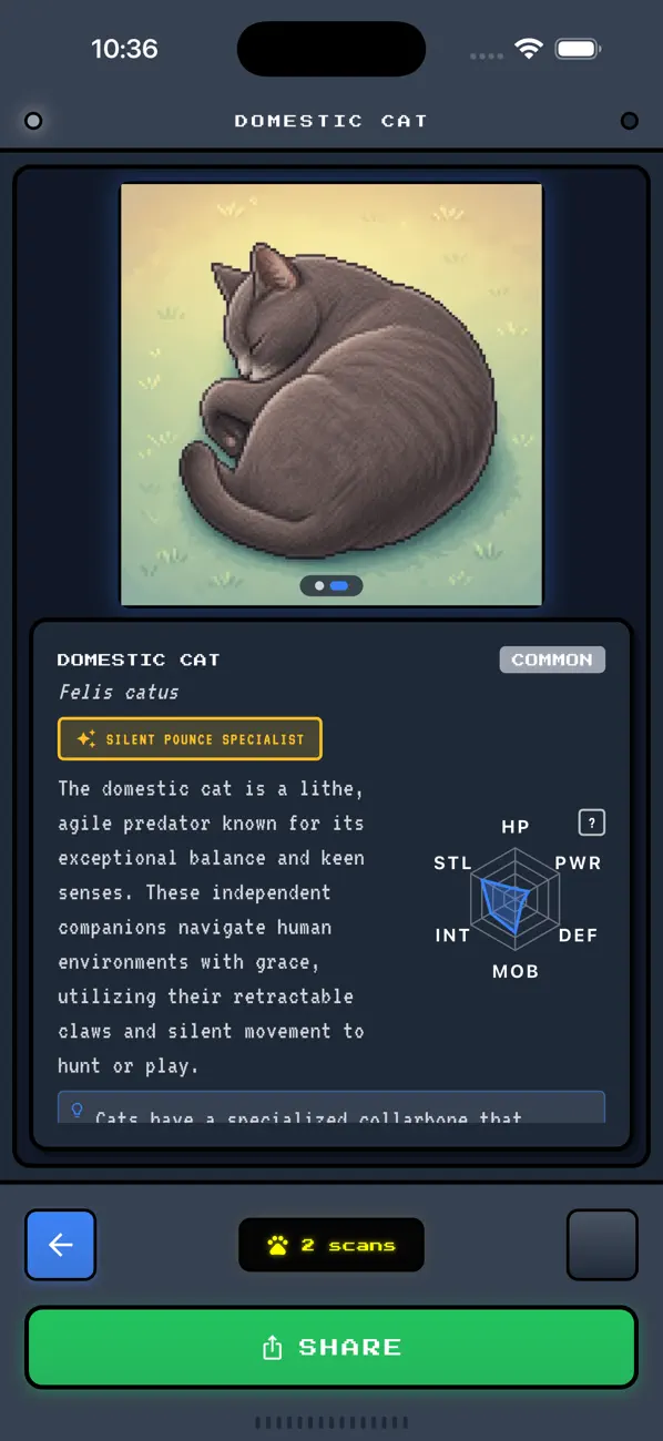 dobudex
