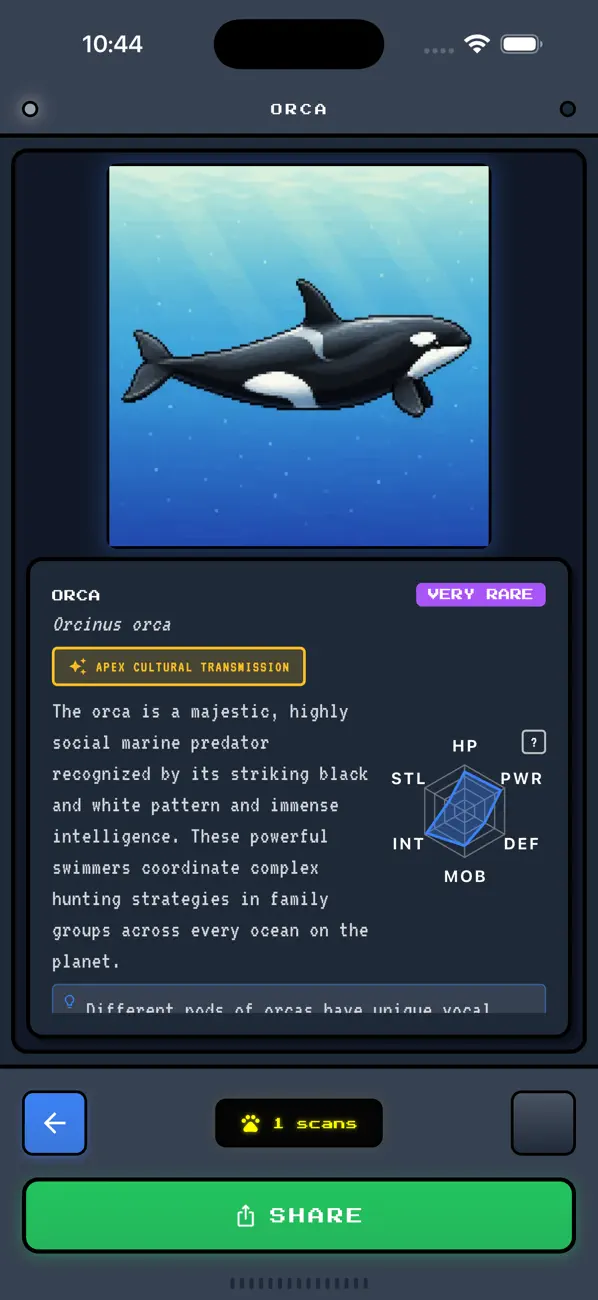 dobudex