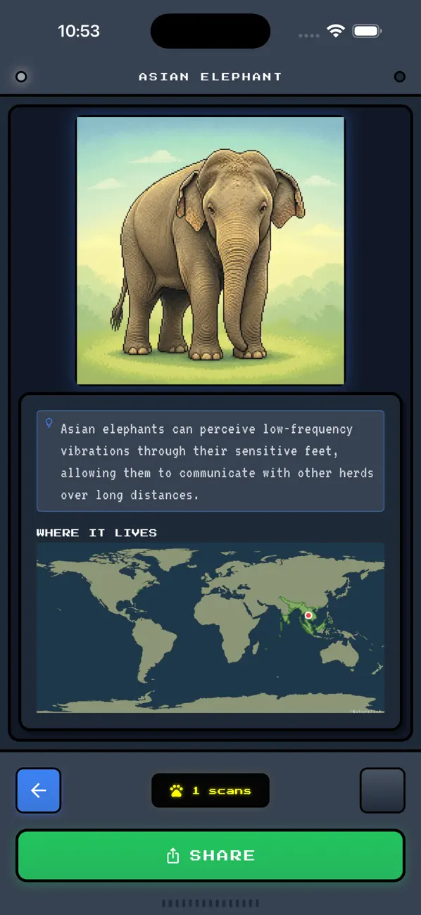 dobudex
