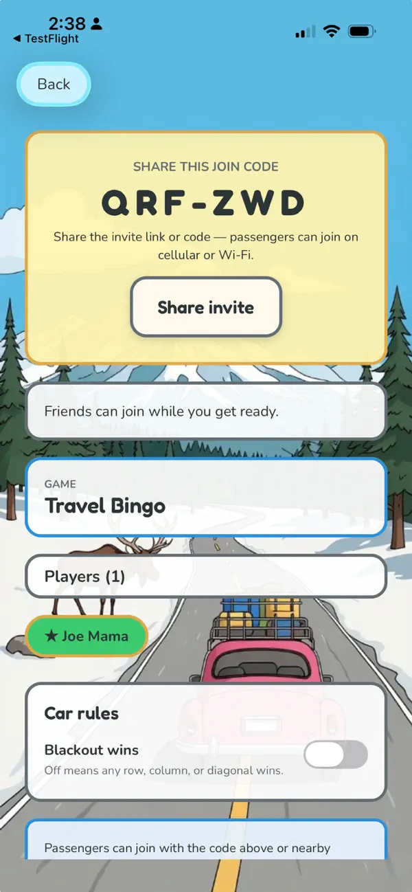 Backseat Games (road trip fun)