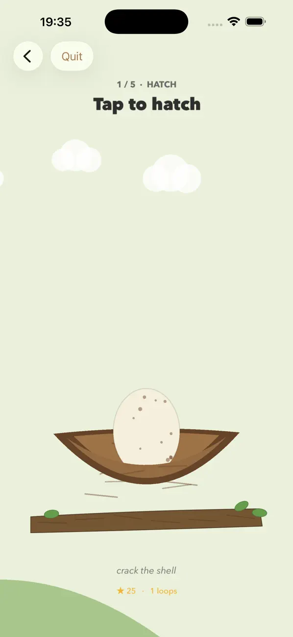 Cuckoo Bird: Nest Life