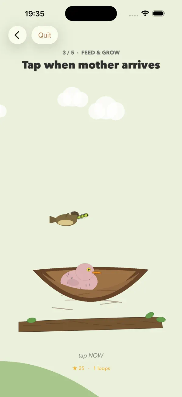 Cuckoo Bird: Nest Life