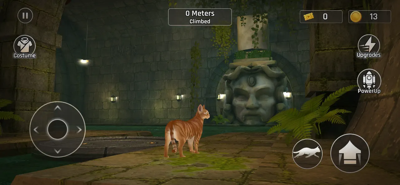 Going Up Cat Runner 3D