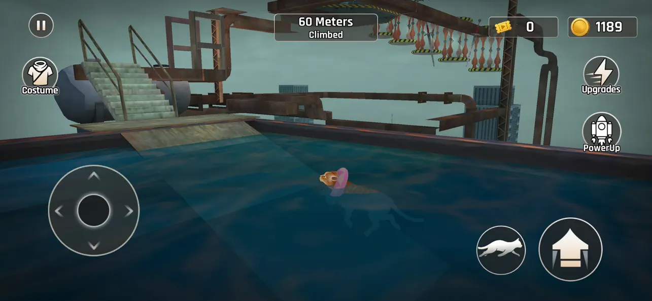 Going Up Cat Runner 3D