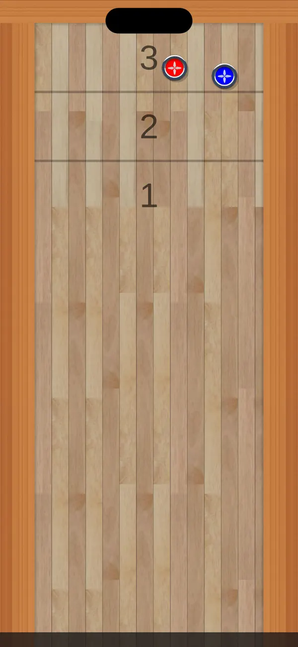 Table Shuffleboard