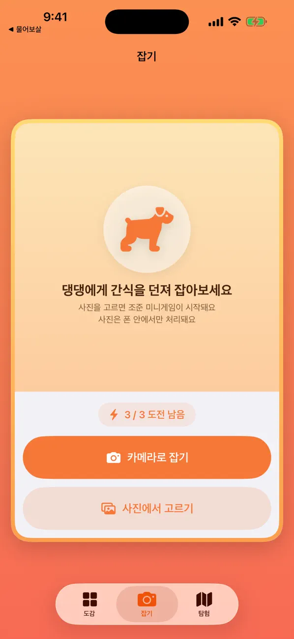 댕댕박사