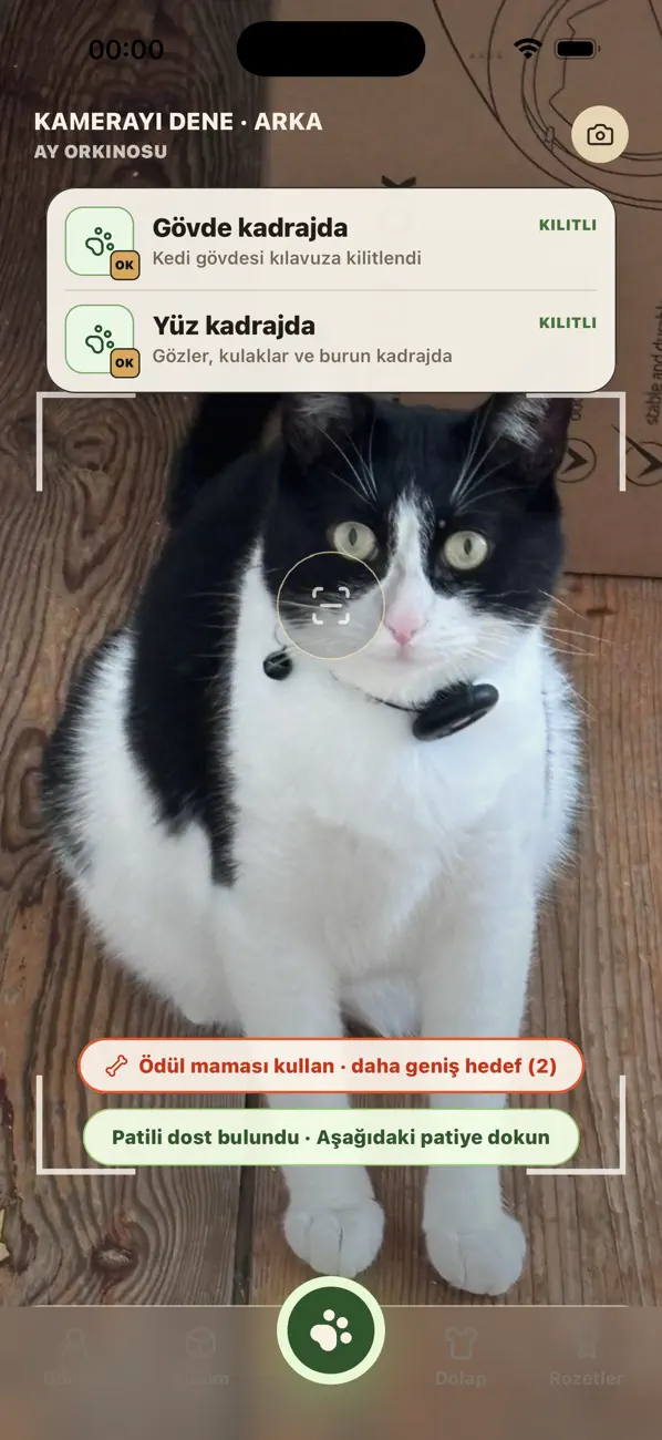 PawCatch