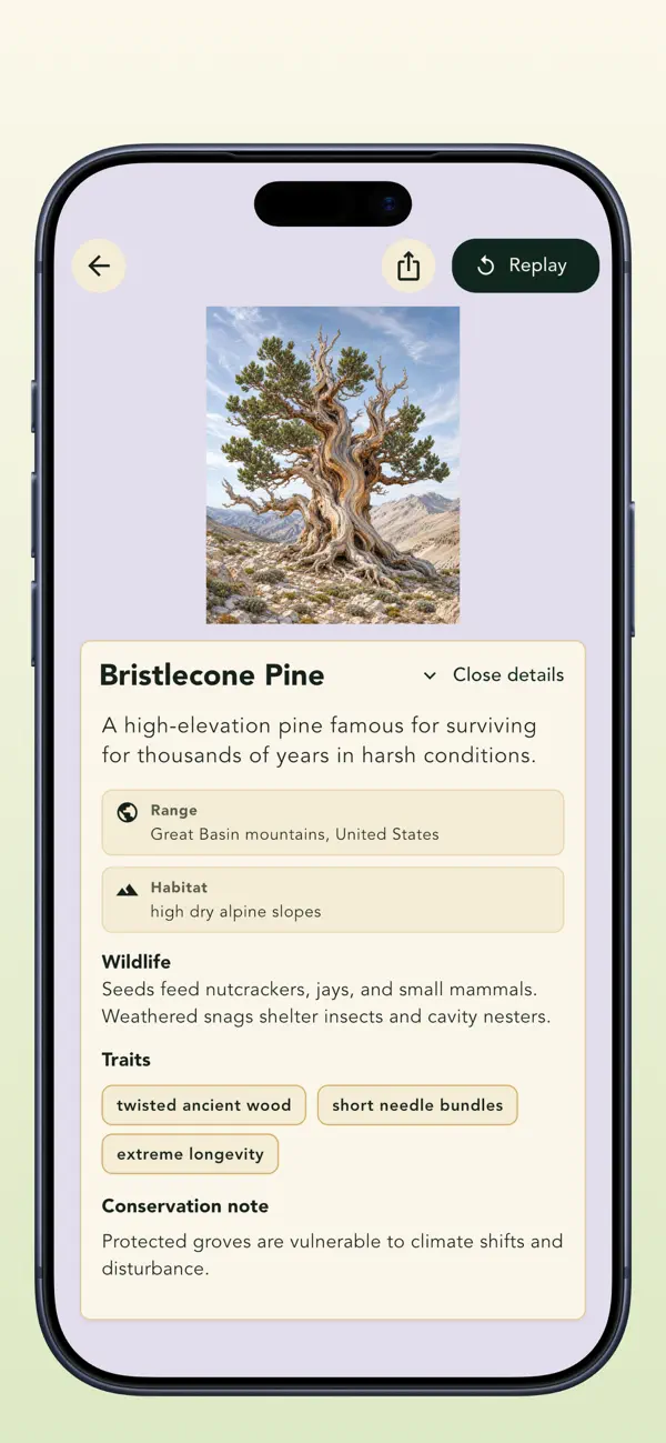 Grove: Botanical Art Puzzles