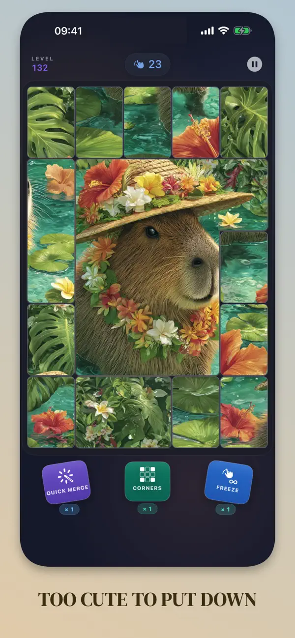 Photo Merge Puzzle
