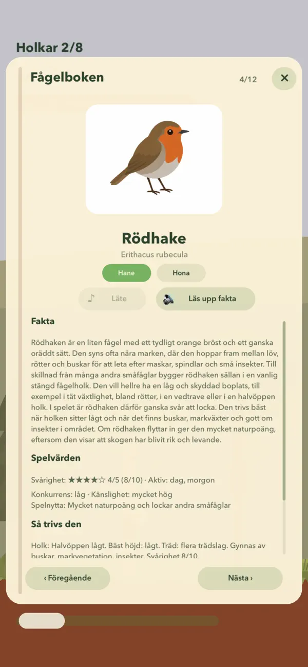 Fågelliv