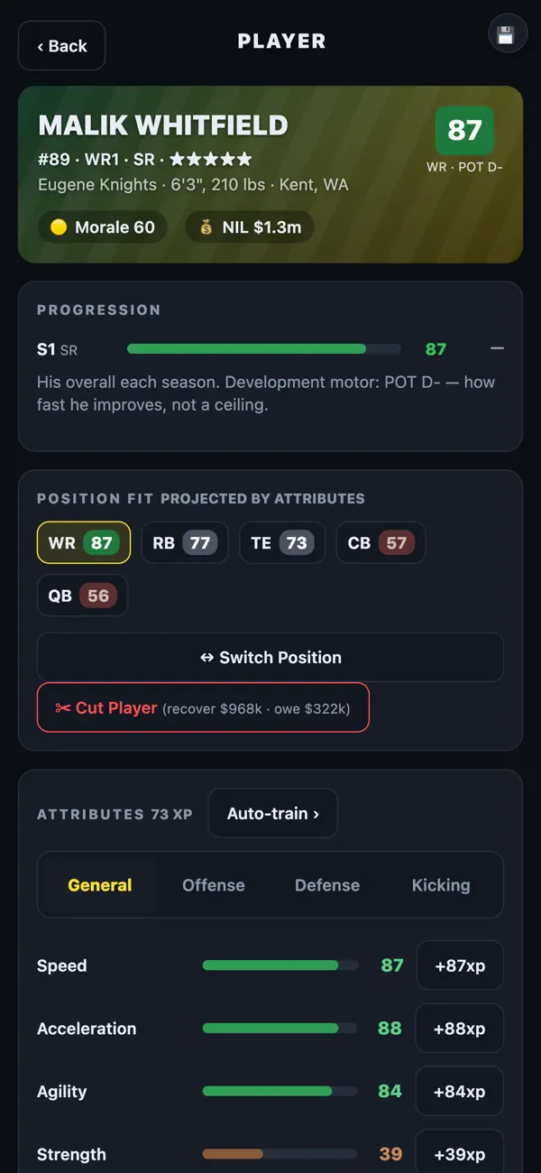 Gridiron Dynasty