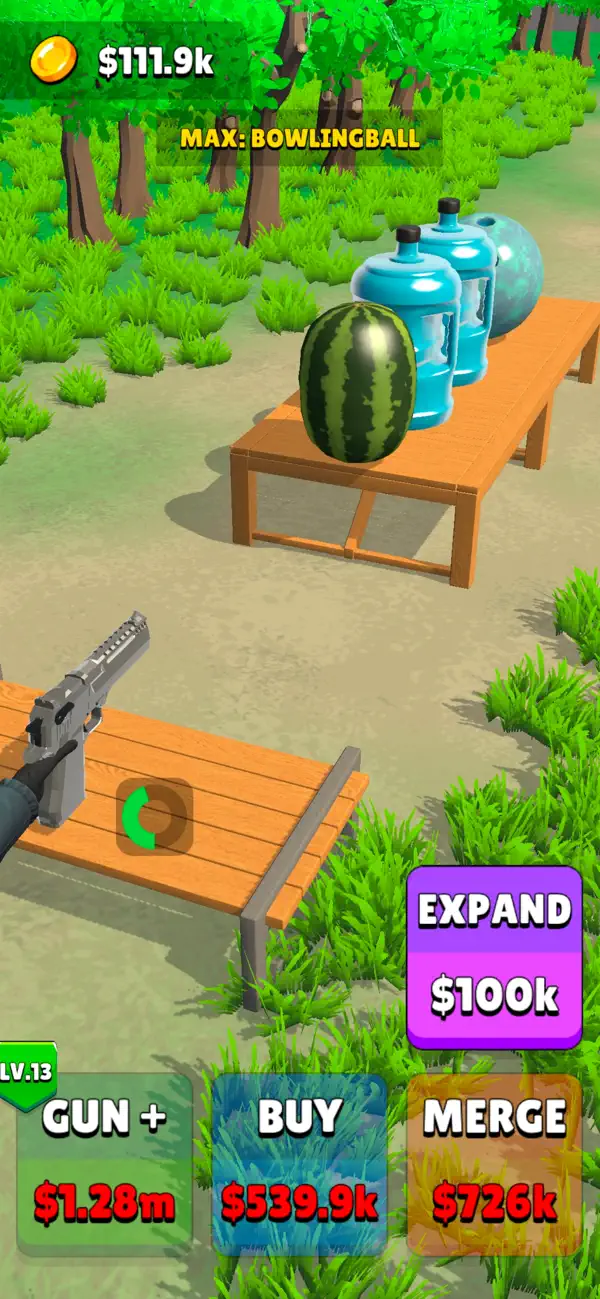 Bullet Test
