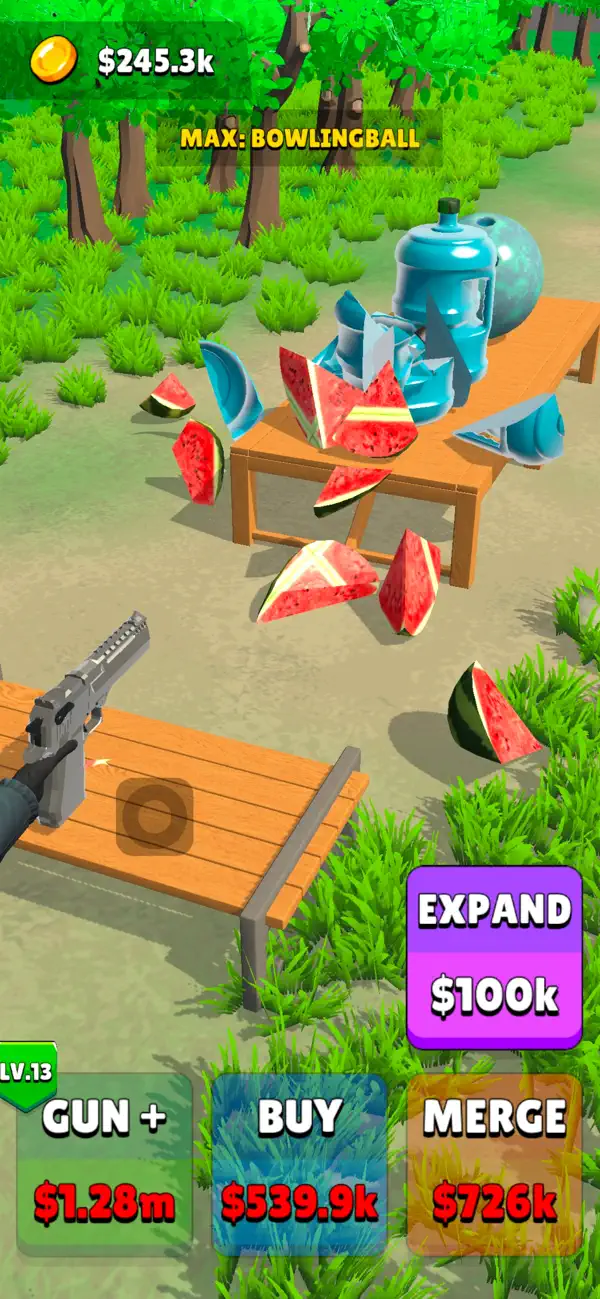 Bullet Test