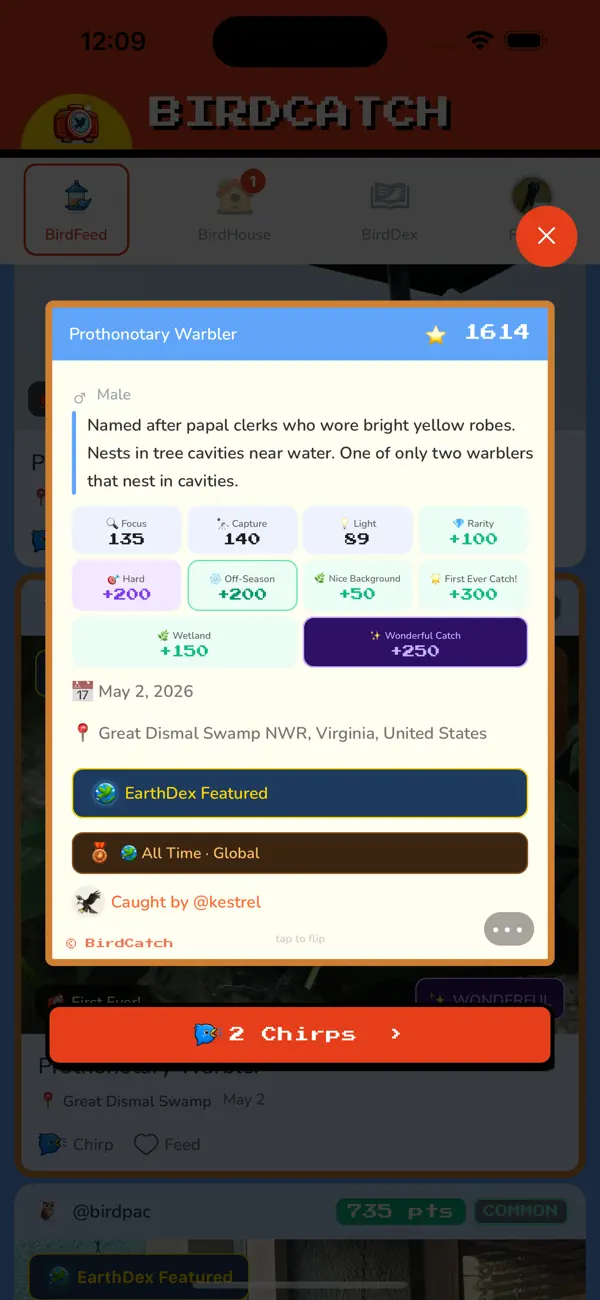BirdCatch: Birding Game
