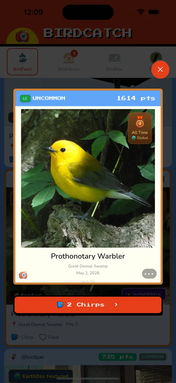 BirdCatch: Birding Game