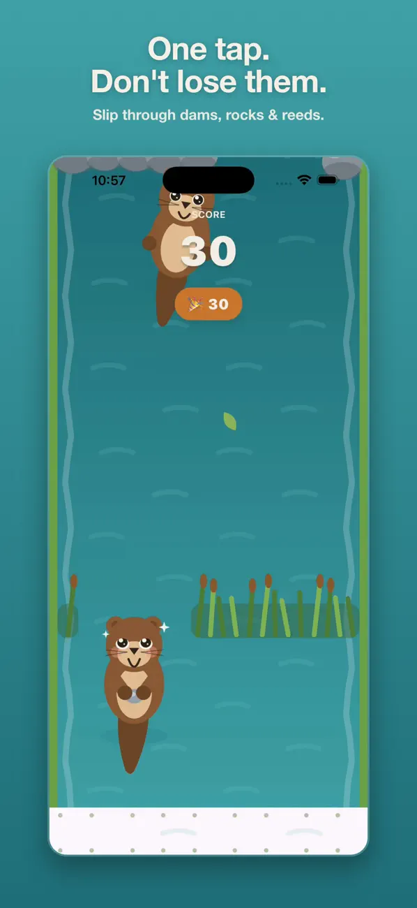 OtterSlide: River Chase