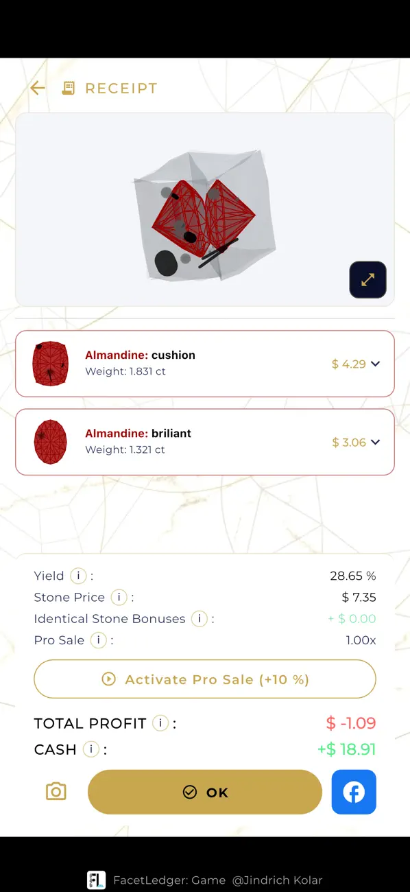 FacetLedger: Game