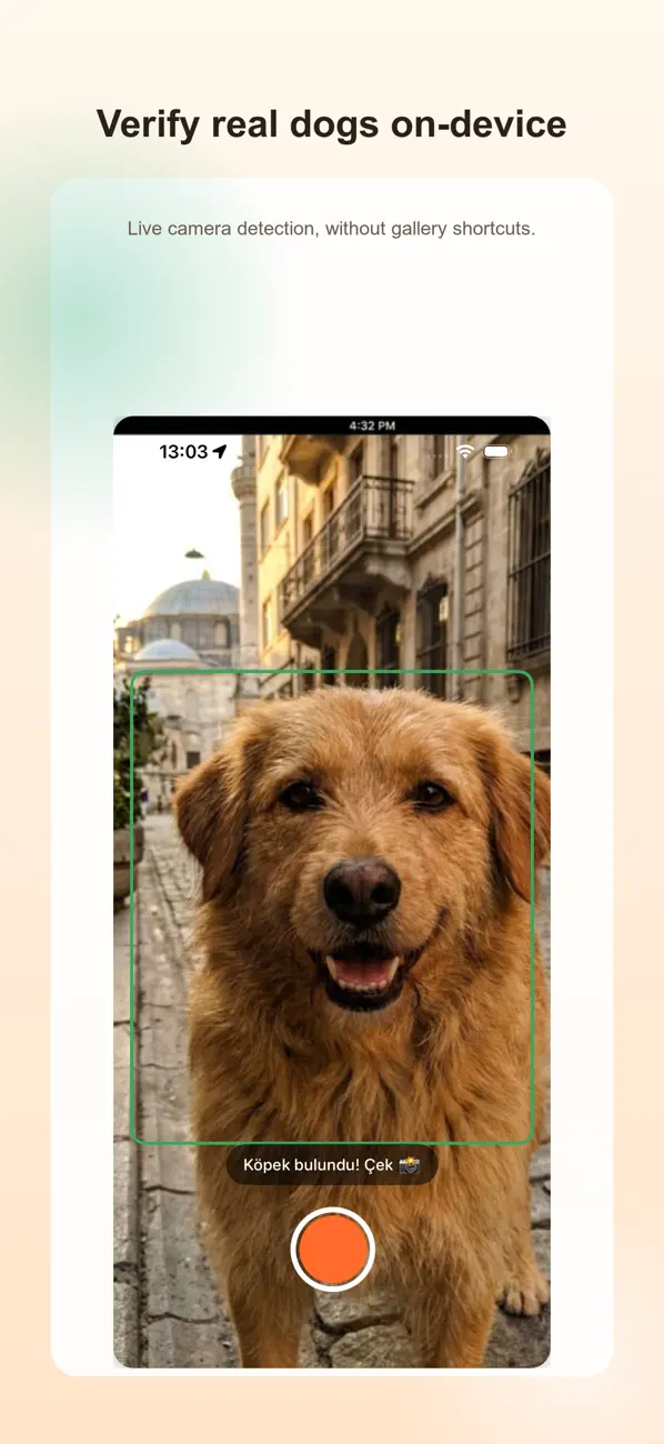 DogCatch