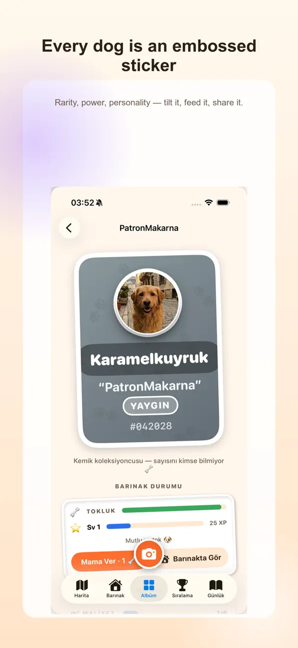 DogCatch
