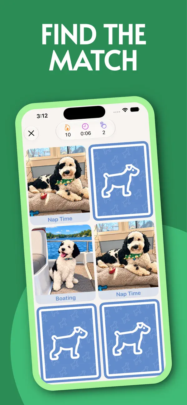 Silly Milly's Photo Match