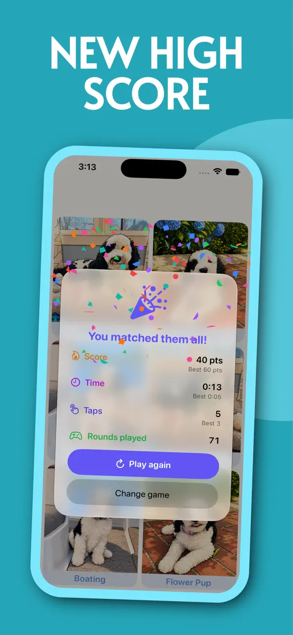 Silly Milly's Photo Match
