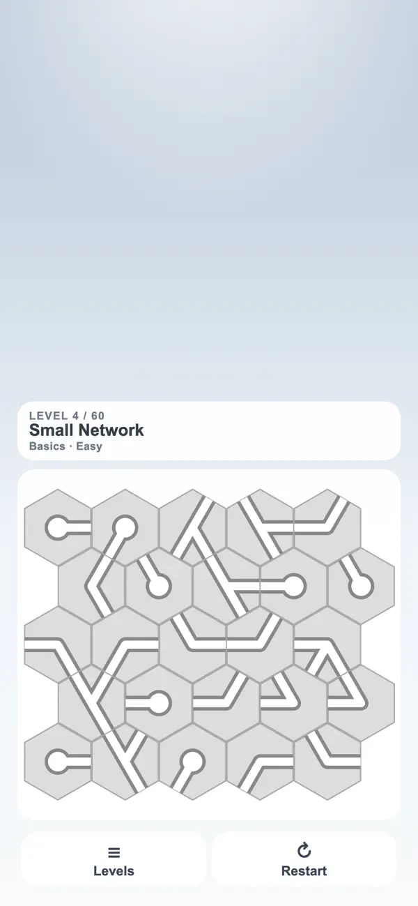 Path Puzzle: Pipe Flow