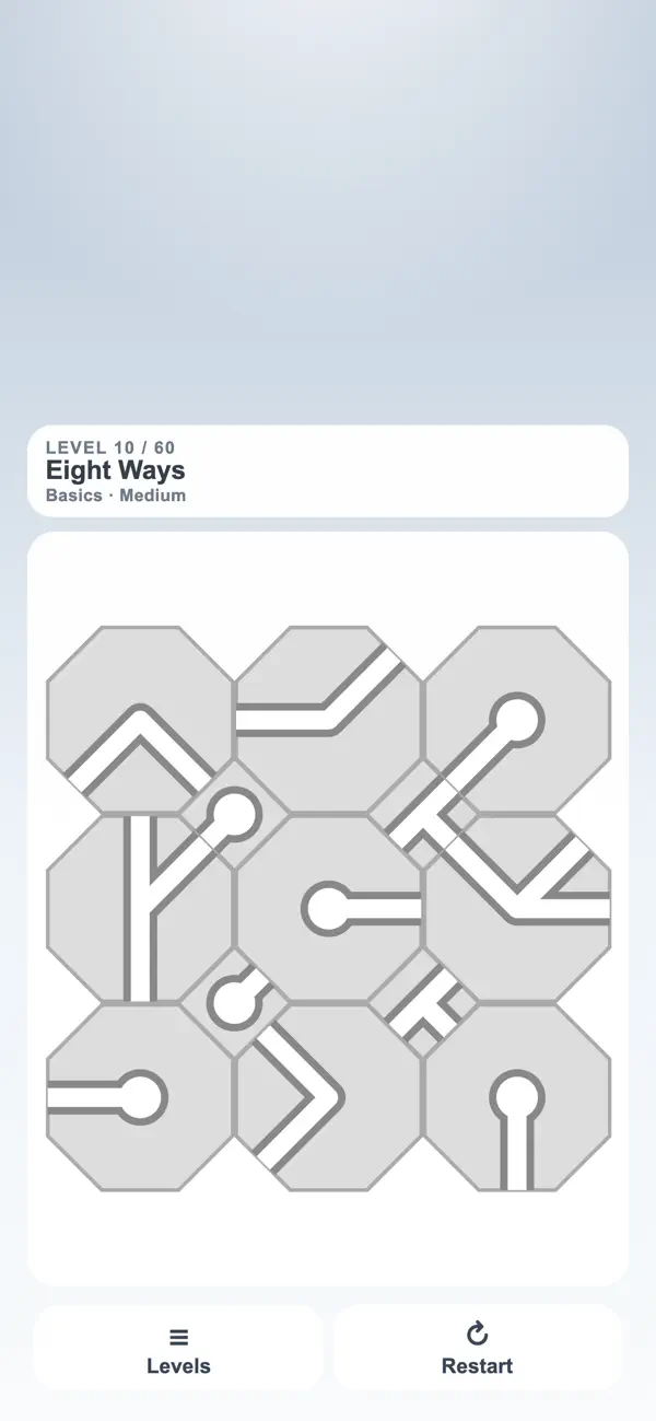 Path Puzzle: Pipe Flow