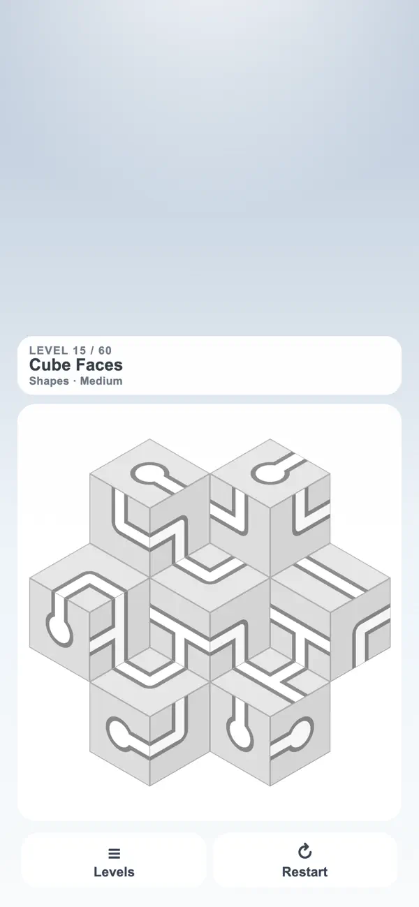 Path Puzzle: Pipe Flow