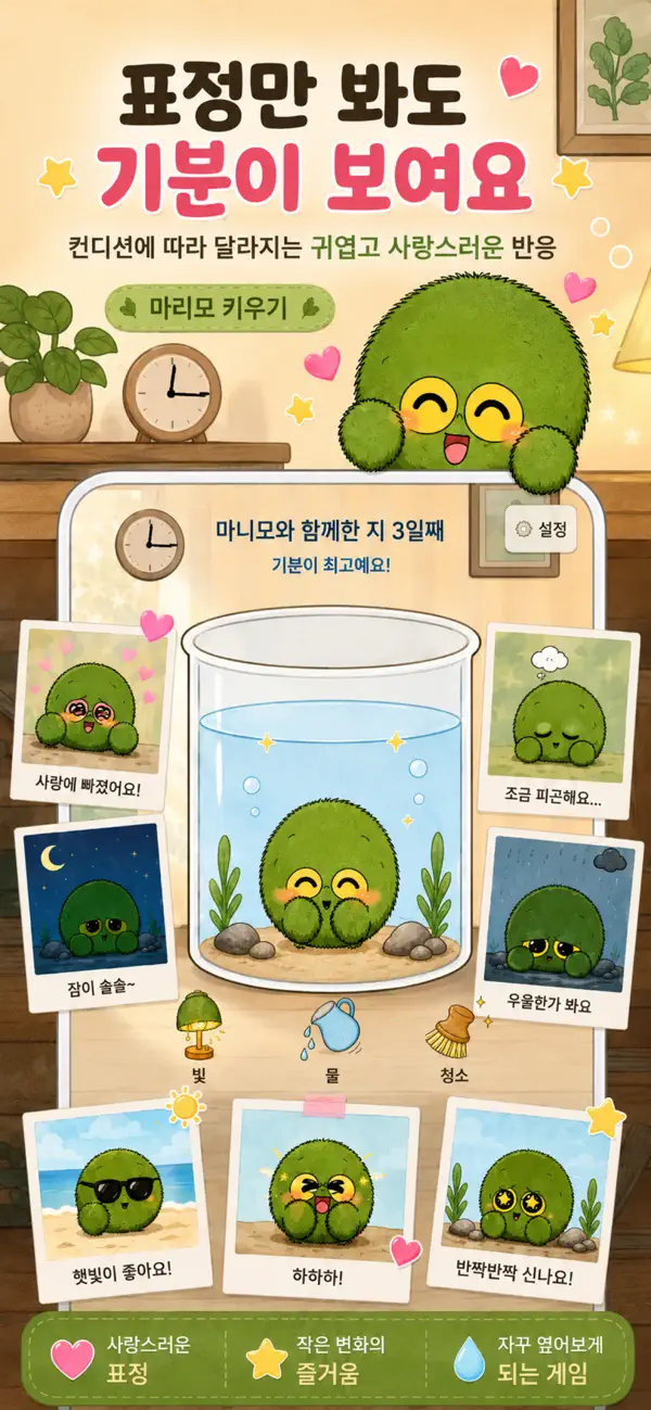 마리모