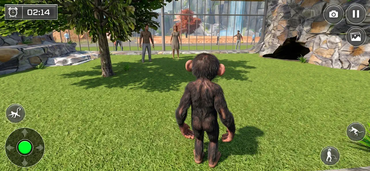 Naughty Monkey Simulator Game