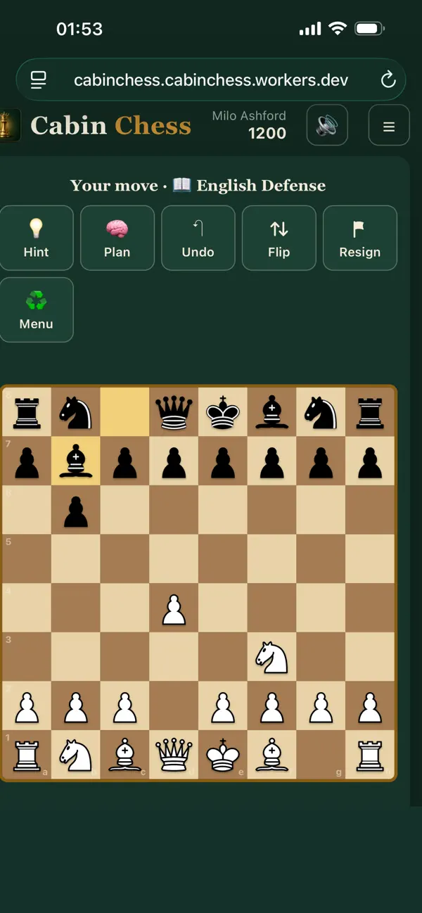 Cabin Chess