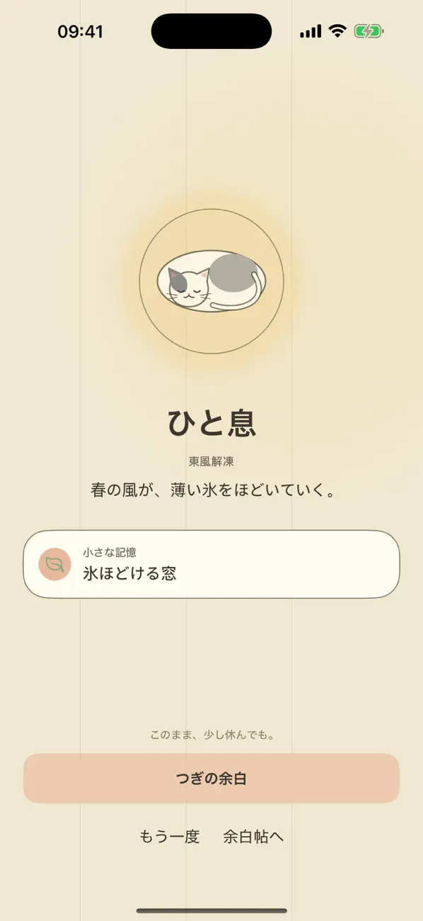 ねこの余白